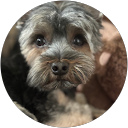 Sam Sparling profile picture